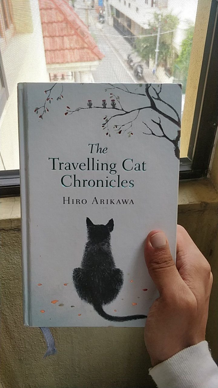 The Travelling Cat Chronicles book cover